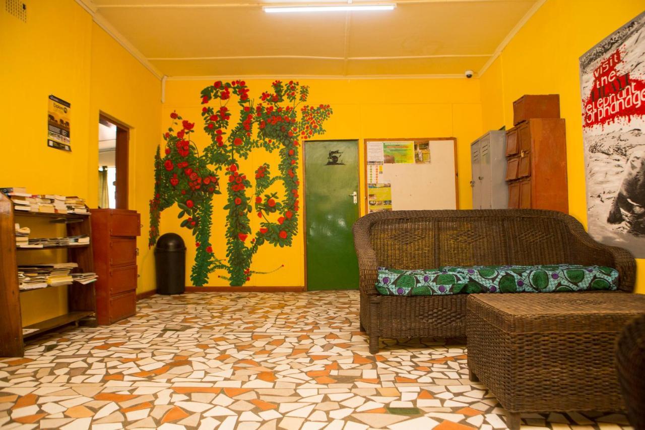 Lusaka Backpackers Hostel Eksteriør bilde